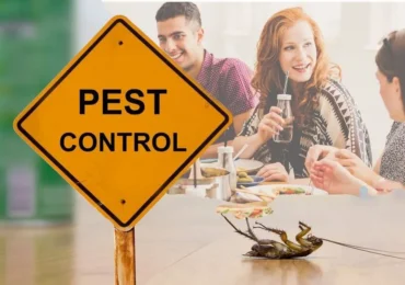 How to Prevent a Pest Infestation in Your Restaurant